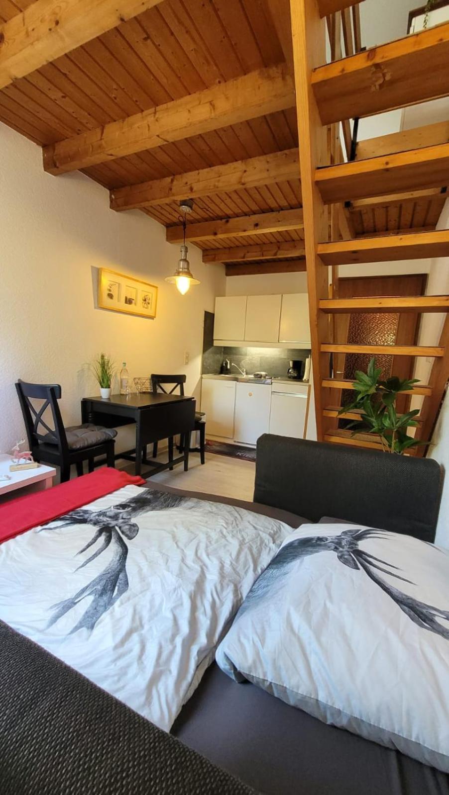 Berg-Buedchen - Schnuckelige Maisonette-Fewo - Gemuetlich Und Guenstig Sankt Andreasberg Exteriér fotografie