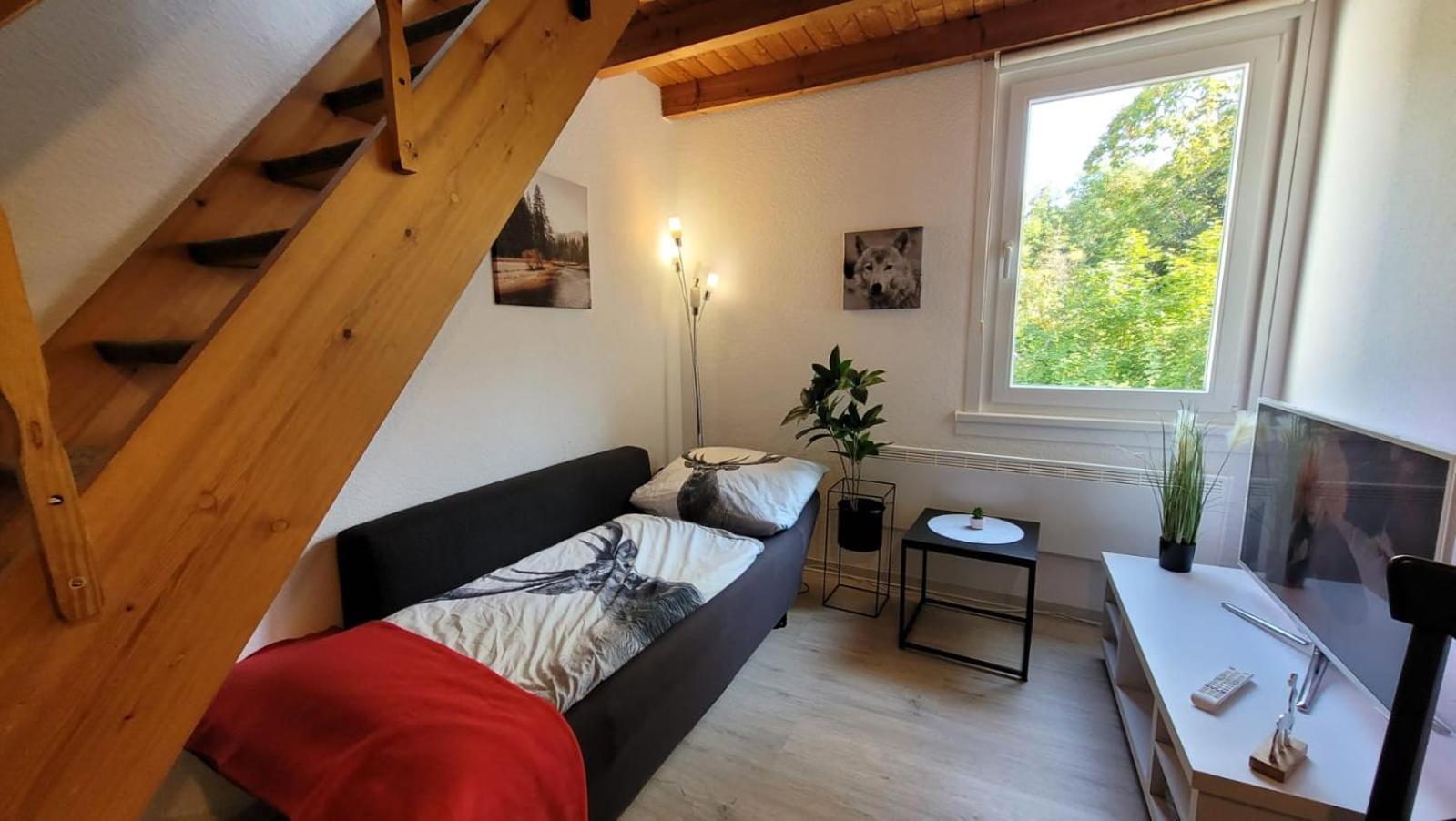 Berg-Buedchen - Schnuckelige Maisonette-Fewo - Gemuetlich Und Guenstig Sankt Andreasberg Exteriér fotografie